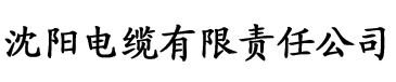 人妻中文字幕无码系列电缆厂logo